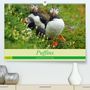 Babett Paul - Babett's Bildergalerie: Puffins - small birds very big (Premium, hochwertiger DIN A2 Wandkalender 2021, Kunstdruck in Hochglanz), Div.