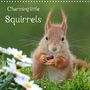 Tine Meier: Charming little squirrels (Wall Calendar 2021 300 × 300 mm Square), Kalender