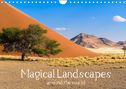 Denis Feiner: Magical Landscapes around the world (Wall Calendar 2022 DIN A4 Landscape), KAL