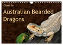 Anke van Wyk - www. germanpix. net: Close to Australian Bearded Dragons (Wall Calendar 2025 DIN A4 landscape), CALVENDO 12 Month Wall Calendar, Kalender