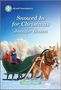 Jennifer Brown: Snowed in for Christmas, Buch