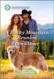 Debra Moser: A Rocky Mountain Reunion, Buch