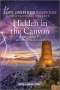 Jodie Bailey: Hidden in the Canyon, Buch