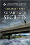 Elisabeth Rees: Submerged Secrets, Buch