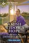 Pamela Desmond Wright: An Amish Widow's Hope, Buch
