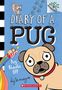 „Diary of a Pug: Pug Blasts Off“. Illustration eines Mopses mit Regenbogenrakete, Pfotenabdrücken, Zeichnungen von Knochen.
