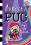 Kyla May: Pug's Got Talent: A Branches Book (Diary of a Pug #4), Buch