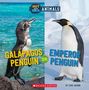 "Galápagos Penguin or Emperor Penguin" in gelb und blau. Zwei Pinguine, links ein Galápagos-Pinguin am Ozean, rechts ein Kaiserpinguin im Eis.