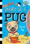 Kyla May: Beach Pug: A Branches Book (Diary of a Pug #10), Buch