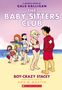 Ann M Martin: Boy-Crazy Stacey: A Graphic Novel (the Baby-Sitters Club #7), Buch