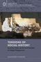 Alessandro Stanziani: Tensions of Social History, Buch