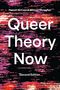 Hannah McCann: Queer Theory Now, Buch