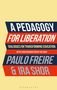 Ira Shor: A Pedagogy for Liberation, Buch