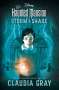 Claudia Gray: The Haunted Mansion: Storm & Shade, Buch