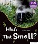 Jonny Walker: Essential Letters and Sounds: Essential Phonic Readers: Oxford Reading Level 5: What's That Smell?, Buch