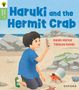 "Haruki and the Hermit Crab" von Karen Myrick und Tatsuya Kondo. Illustration: Junge kniet am Strand mit Einsiedlerkrebs., Buch