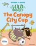 Abbie Rushton: Stories for Maths: EYFS: The Canopy City Cup (Shapes with 4 sides), Buch