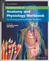 "Fundamentals of Anatomy and Physiology Workbook" Text über einem transparenten menschlichen Körperdiagramm, bunte Stifte links., Buch