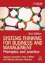 Agnessa Spanellis: Systems Thinking for Business and Management, Buch