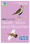 Marianne Taylor: RSPB ID Spotlight - Birds of Heath, Moor and Mountain, Buch