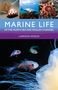 Lawson Wood: Marine Life of the North Sea and English Channel, Buch