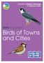 Marianne Taylor: RSPB ID Spotlight - Birds of Towns and Cities, Buch