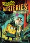 David Lewman: Stage Fright (SpongeBob SquarePants Mysteries 03), Buch
