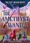 "The Amethyst Wand", "The Last Dragon House Book 2", von Liv Mae Morris. Illustration mit bunten, fantasievollen Drachen.