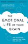 Richard J. Davidson: The Emotional Life of Your Brain, Buch