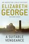 „An Inspector Lynley Mystery“, „Elizabeth George“, „A Suitable Vengeance“. Ruine und Schornstein bei Sonnenuntergang., Buch