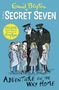 Enid Blyton: Secret Seven Colour Short Stories: Adventure on the Way Home, Buch