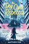 Matthew Fox: The Sky Over Rebecca, Buch