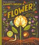 Rachel Ignotofsky: What's Inside a Flower?, Buch