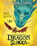 Cressida Cowell: How To Train Your Dragon School: Doom of the Darkwing, Buch