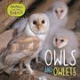 Annabelle Lynch: Animals and their Babies: Owls & Owlets, Buch