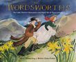 Mick Manning: The Wordsworths, Buch