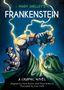 Steve Barlow: Classics in Graphics: Mary Shelley's Frankenstein, Buch