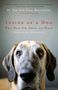 Alexandra Horowitz: Inside of a Dog, Buch