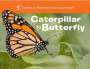 American Museum Of Natural History: Caterpillar to Butterfly, Buch