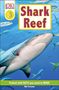 Niki Foreman: Shark Reef, Buch
