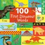 Dk: 100 First Dinosaur Words, Buch