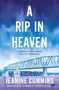 Jeanine Cummins: A Rip in Heaven, Buch