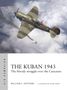 THE KUBAN 1943: The bloody struggle over the Caucasus. Illustration von Flugzeug im Luftkampf über Wolken., Buch