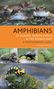Christophe Dufresnes: Amphibians of Europe, North Africa and the Middle East, Buch