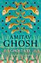 "Amitav Ghosh", "Ghost-Eye", "A novel that believes in magic" vor Hintergrund mit goldenen Fischen und blauen Wellen.