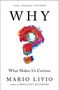 „WHY“, „What Makes Us Curious“, „Mario Livio“, farbiges Pinsel Fragezeichen.