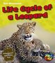 Phillip W Simpson: Life Cycle of a Leopard, Buch