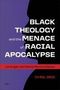 Cyril Orji: Black Theology and the Menace of Racial Apocalypse, Buch