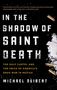 Michael Deibert: In the Shadow of Saint Death, Buch