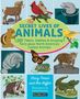 Stacy Tornio: The Secret Lives of Animals, Buch